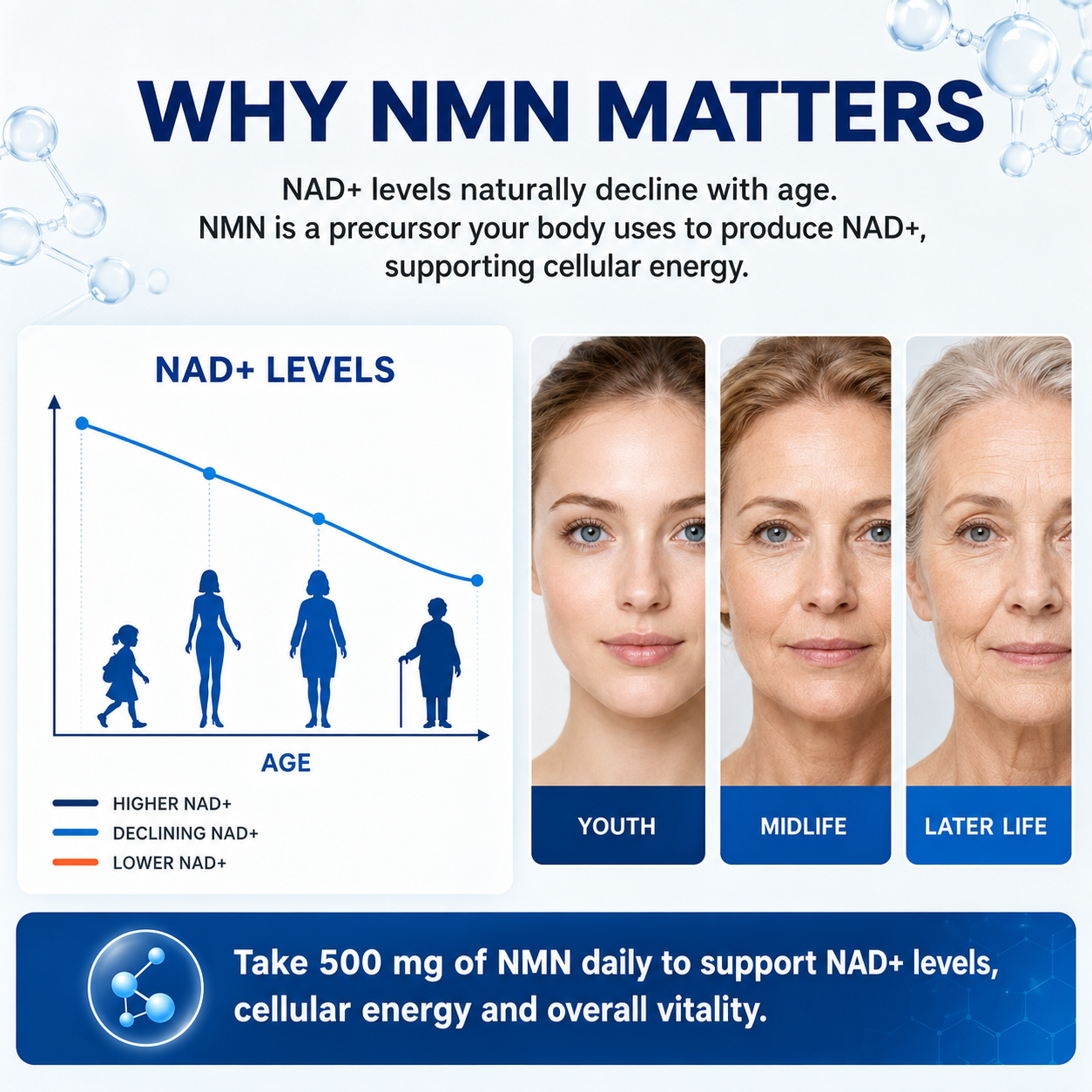 Buy 1 Get 2 Free - Organix™ - NMN (Nicotinamide Mononucleotide) Pure Powder
